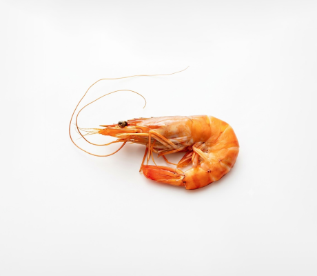 Produto 2